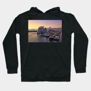 Celebrity Edge arriving Port Everglades Hoodie